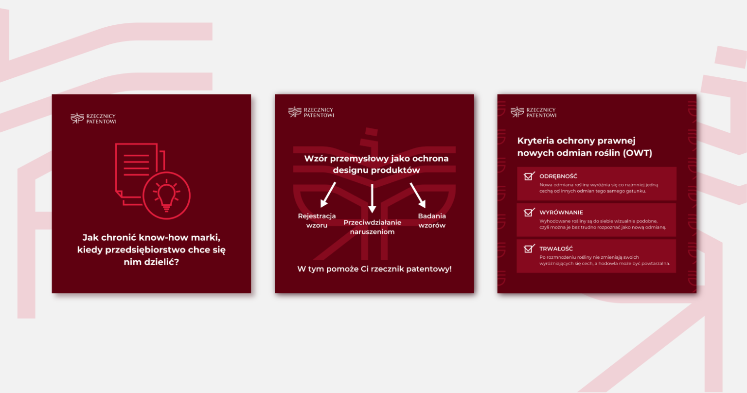 wizualizacja grafik do social mediów Polskiej Izby Rzeczników Patentowych